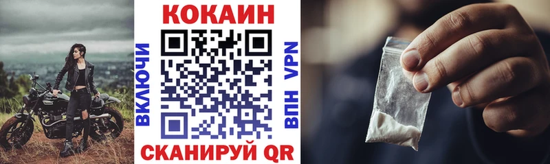 COCAIN Fish Scale  купить наркоту  Кондопога 