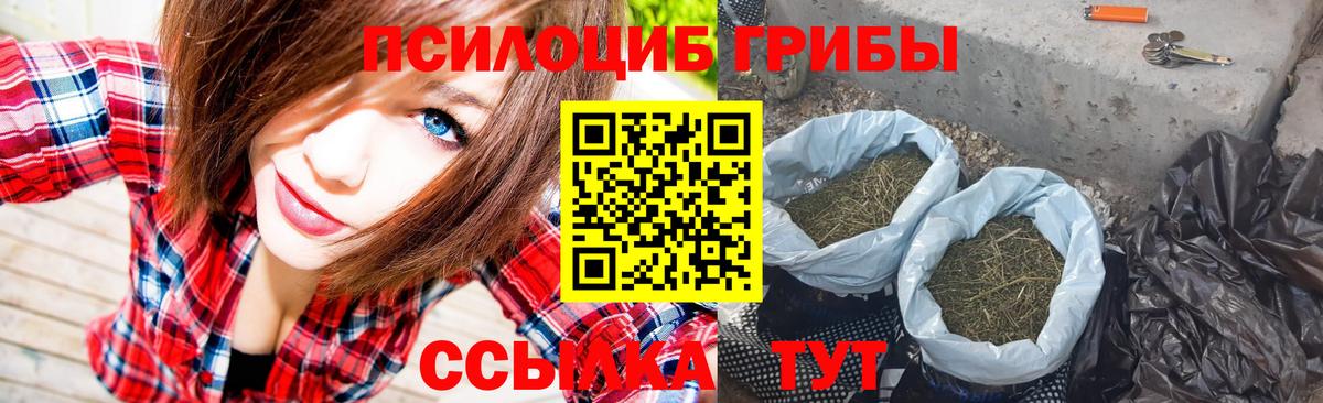 Псилоцибиновые грибы Magic Shrooms  Вход с VPN  Кондопога 