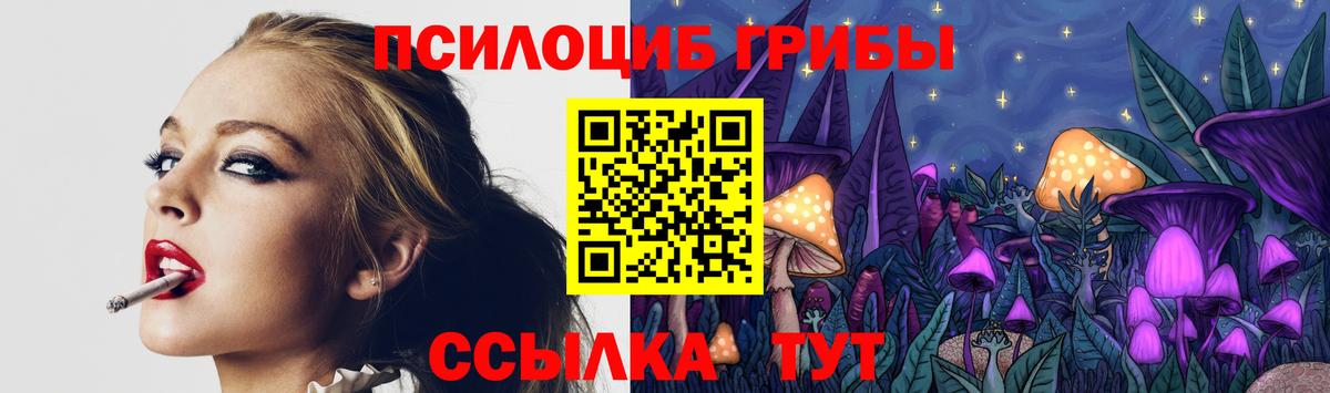 Псилоцибиновые грибы Cubensis Кондопога