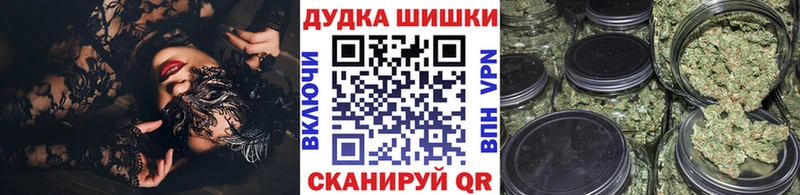 Бошки Шишки план  наркотики  Кондопога 